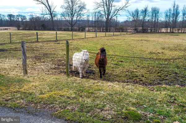 a view of a swimming pool