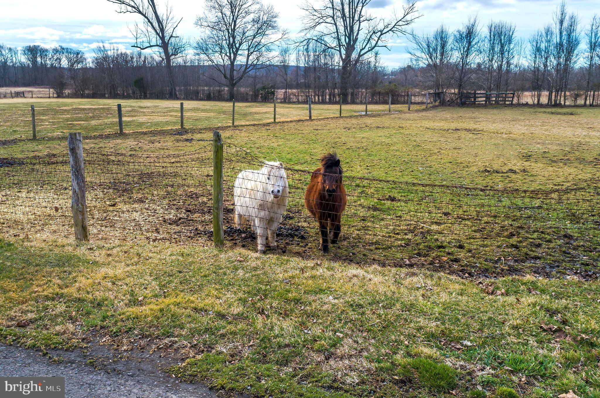 5453 York Rd. New Hope, PA 18938 - Photo 34 of 34
