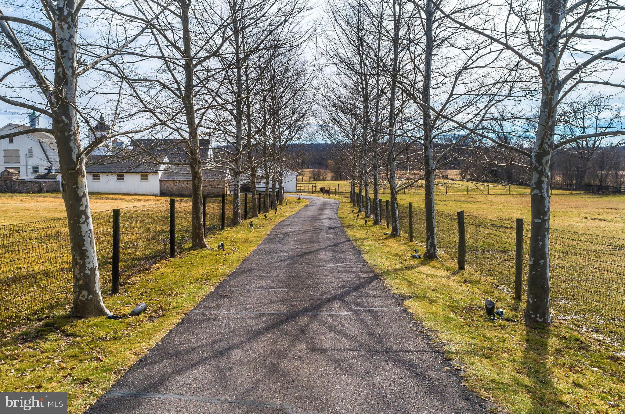 5453 York Rd. New Hope, PA 18938 - Photo 4 of 34