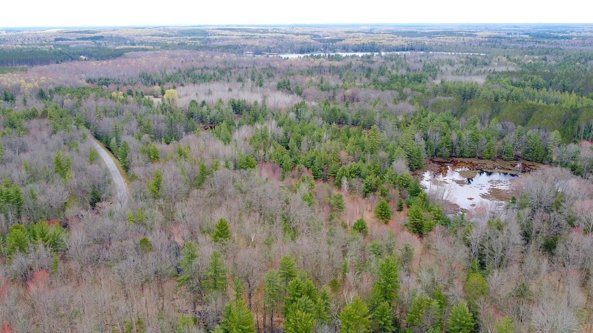 Southeast Spencer Road Southeast Kalkaska, MI 49646 - Photo 29 of 36