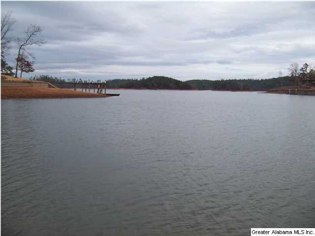 232 Ridgeview Point Alexander City, AL 35010 - Photo 29 of 30