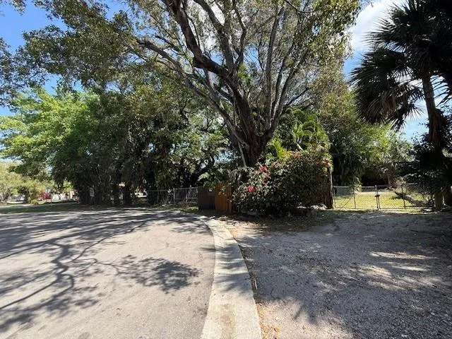 a view of yard with trees
