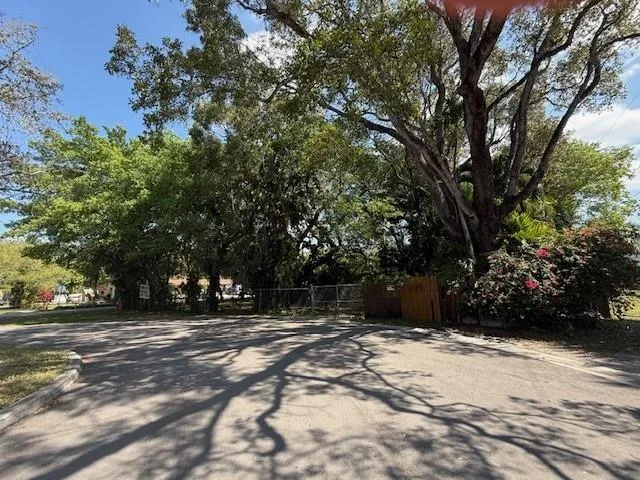 a view of space with trees in front of it