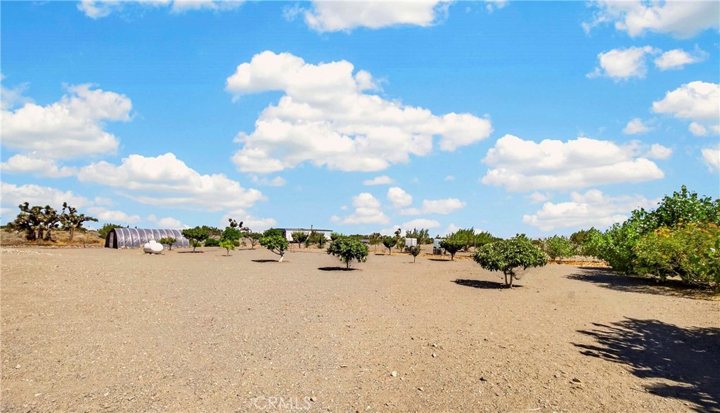 10624 Nugget Road Phelan, CA 92371 - Photo 3 of 70