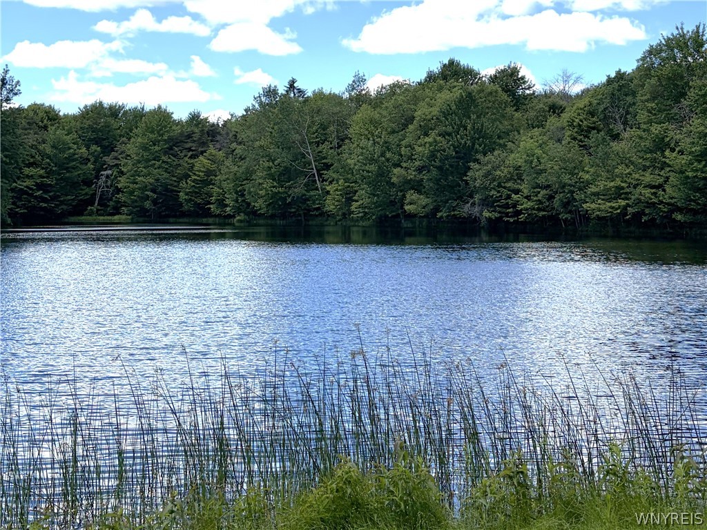11709 Scotch Road Freedom, NY 14065 - Photo 18 of 30