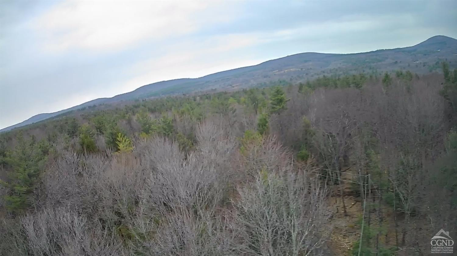 135 Winding Way Conesville, NY 12076 - Photo 5 of 14 a view of a lush green forest