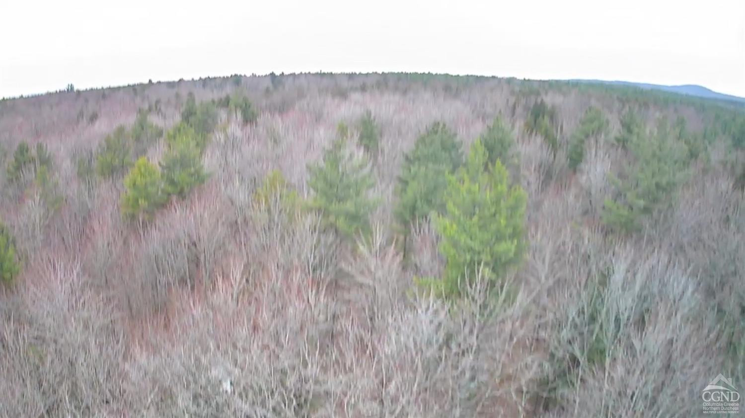 135 Winding Way Conesville, NY 12076 - Photo 6 of 14 a view of a lush green field