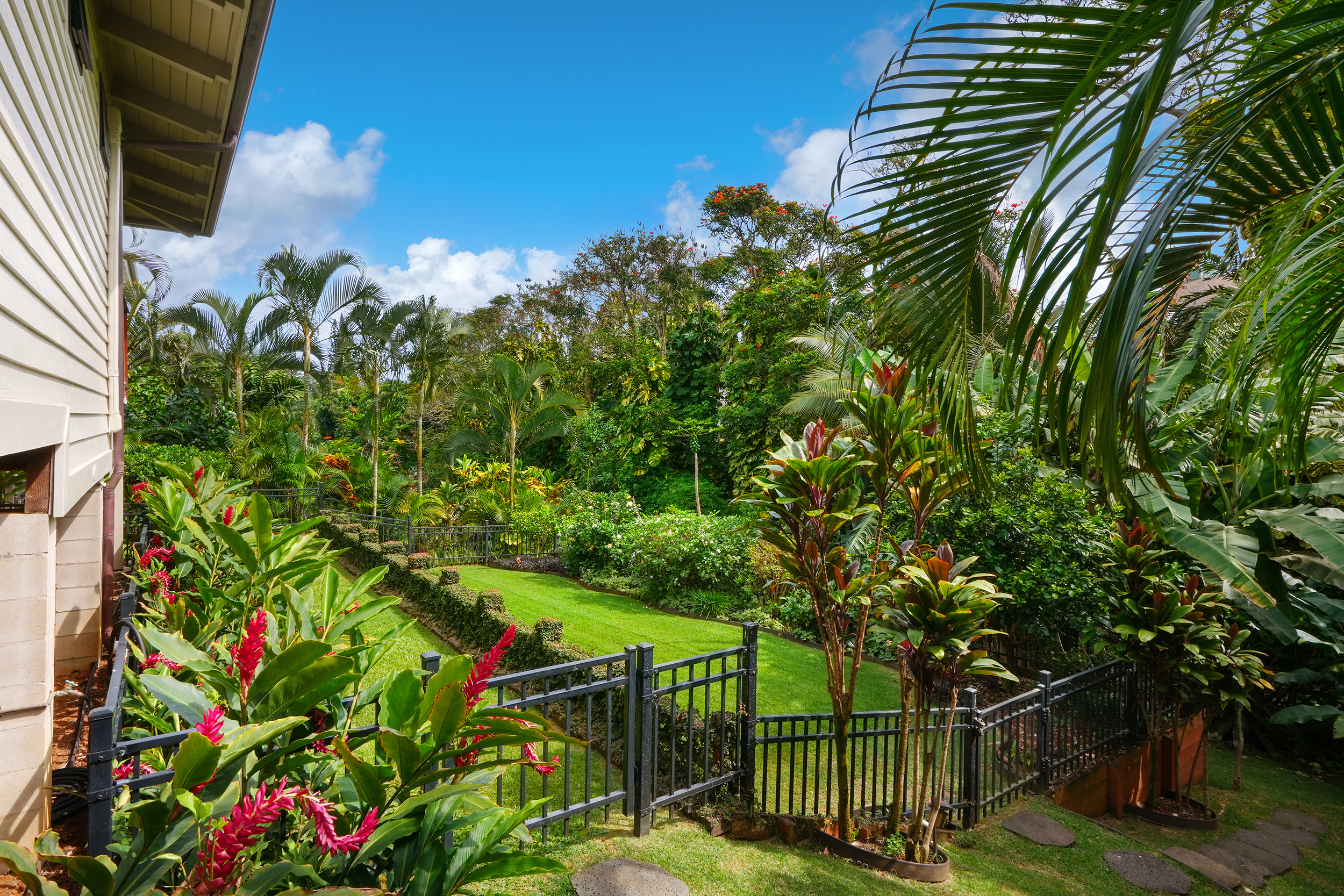 3667 Albert Road Princeville, HI 96722 - Photo 22 of 25 a picture of flowers