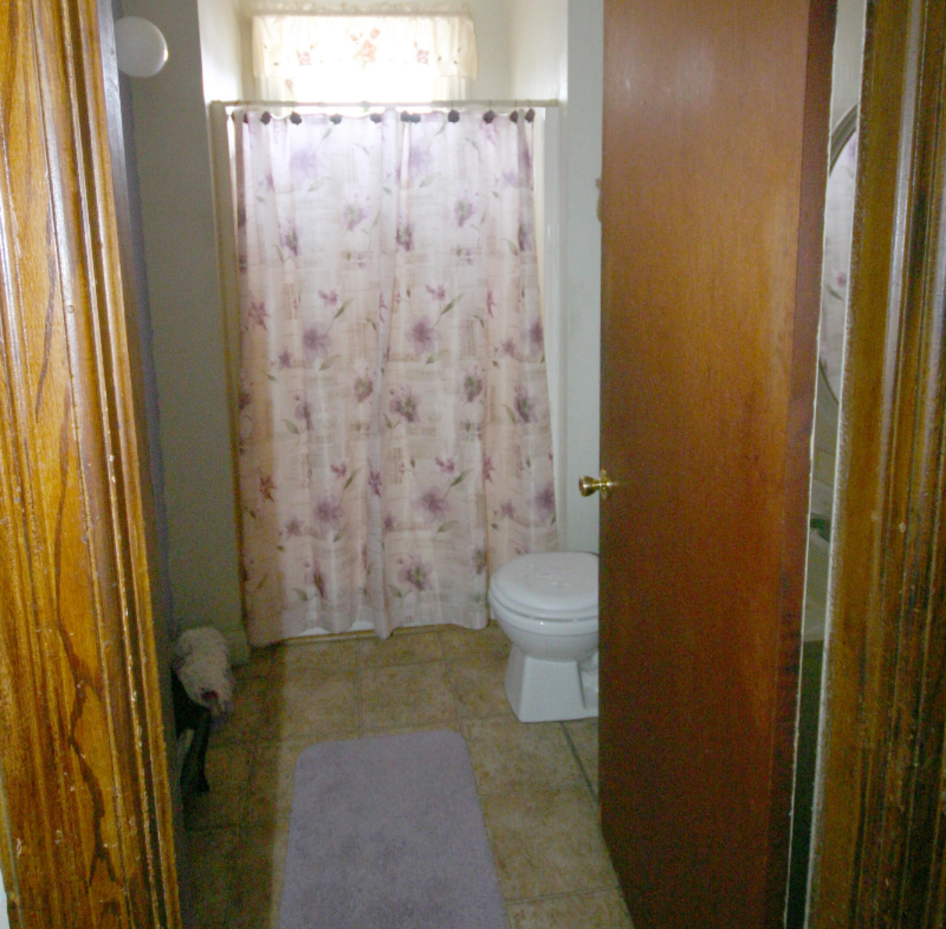 104 Buffalo Road Galien, MI 49113 - Photo 18 of 29 Richter bathroom 02166