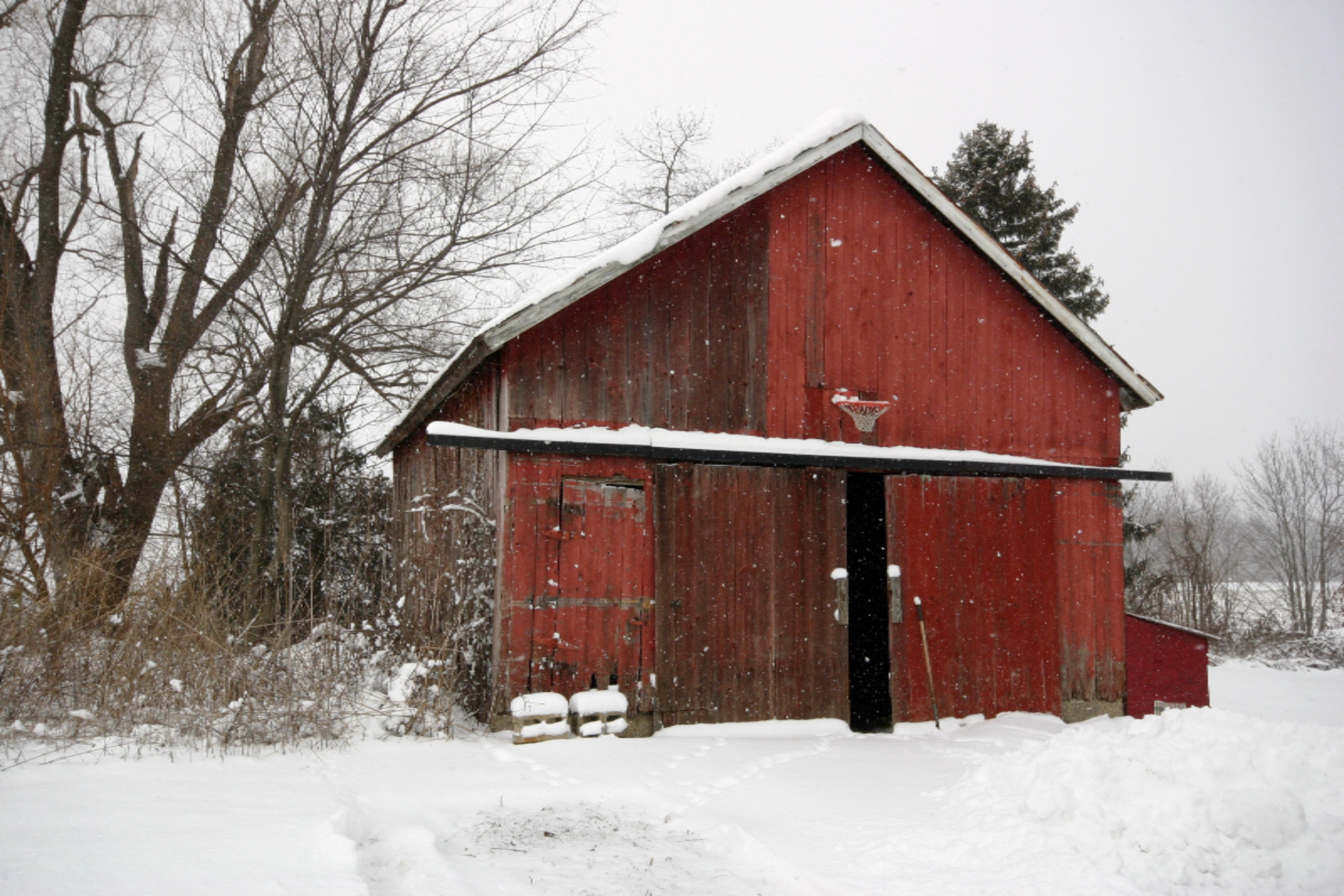 104 Buffalo Road Galien, MI 49113 - Photo 4 of 29 Richter Shed Grain dryer building 0216