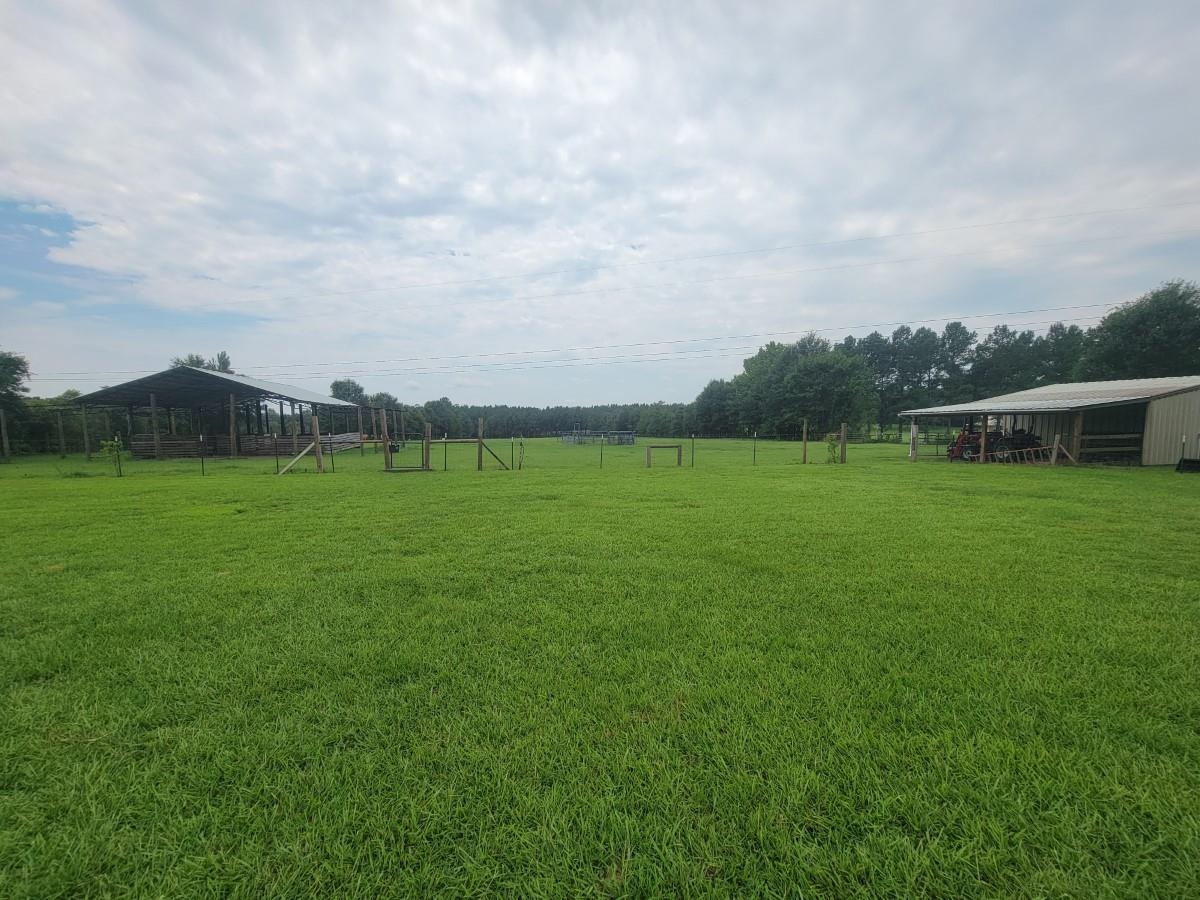 21140 Phillipsville Road Bay Minette, AL 36507 - Photo 2 of 19