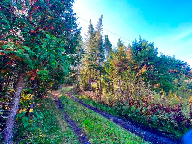 $199,000 | 67 Saddleback Mountain Road, Dallas Plt, ME 04970