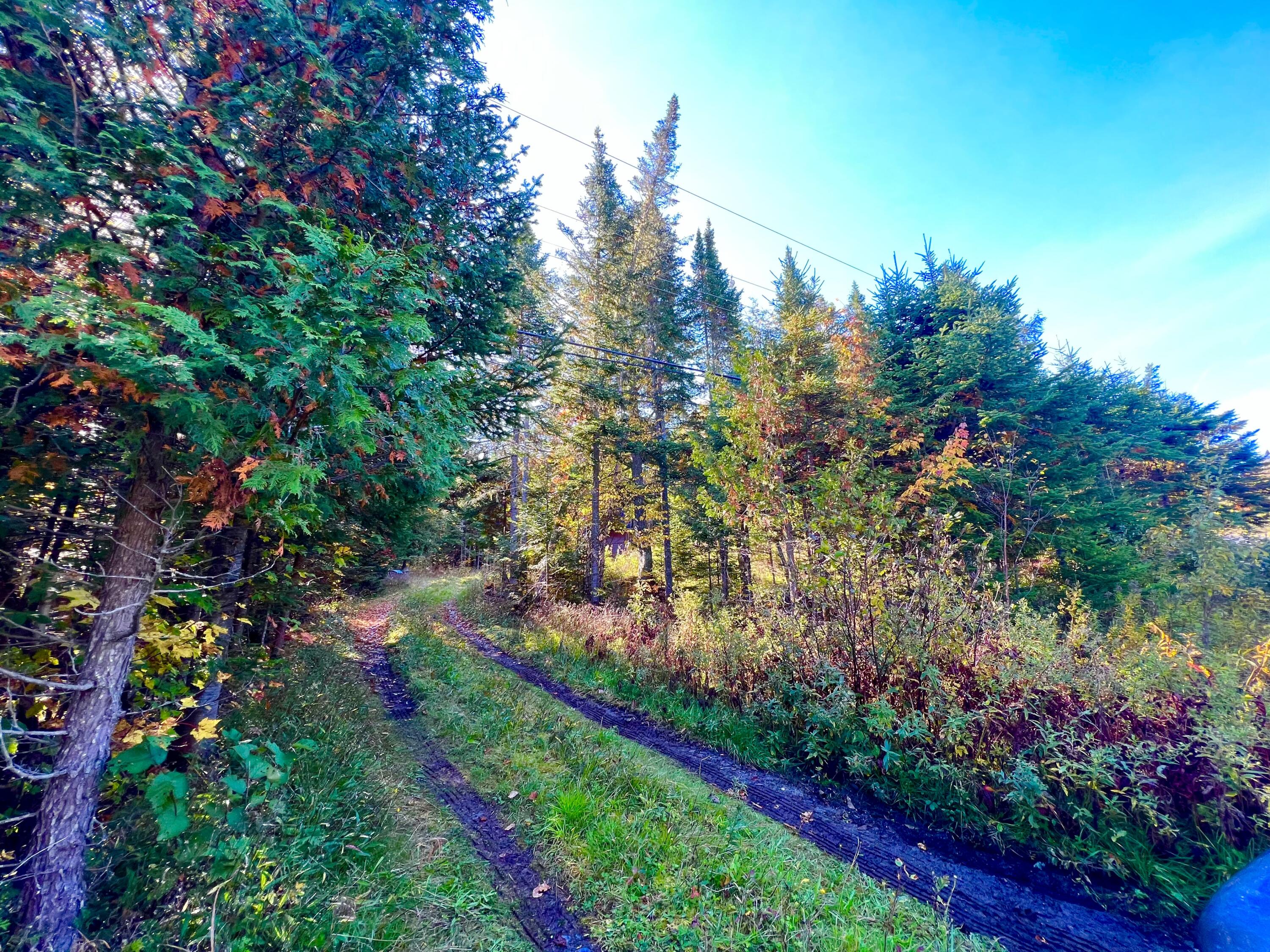 67 Saddleback Mountain Road Dallas Plt, ME 04970 - Photo 2 of 31 Nice Long Driveway