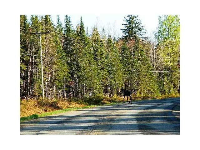 $199,000 | 67 Saddleback Mountain Road, Dallas Plt, ME 04970