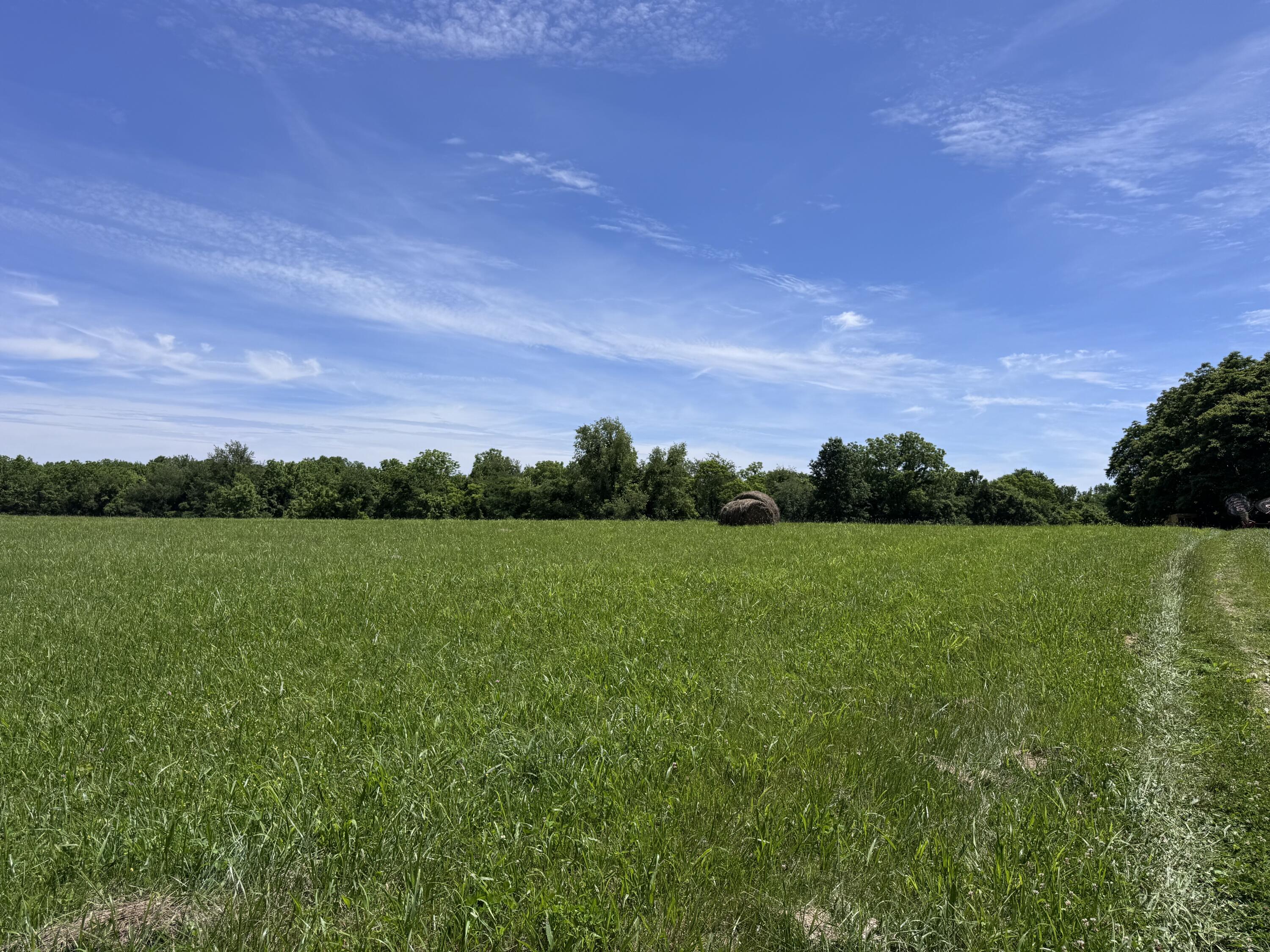 9999 Cedarmore Road Bagdad, KY 40003 - Photo 20 of 24 IMG_8012