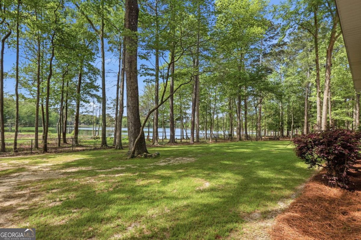 1044 Lewis Mill Lake Road Vienna, GA 31092 - Photo 51 of 67