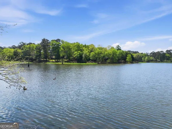$629,900 | 1044 Lewis Mill Lake Road, Vienna, GA 31092
