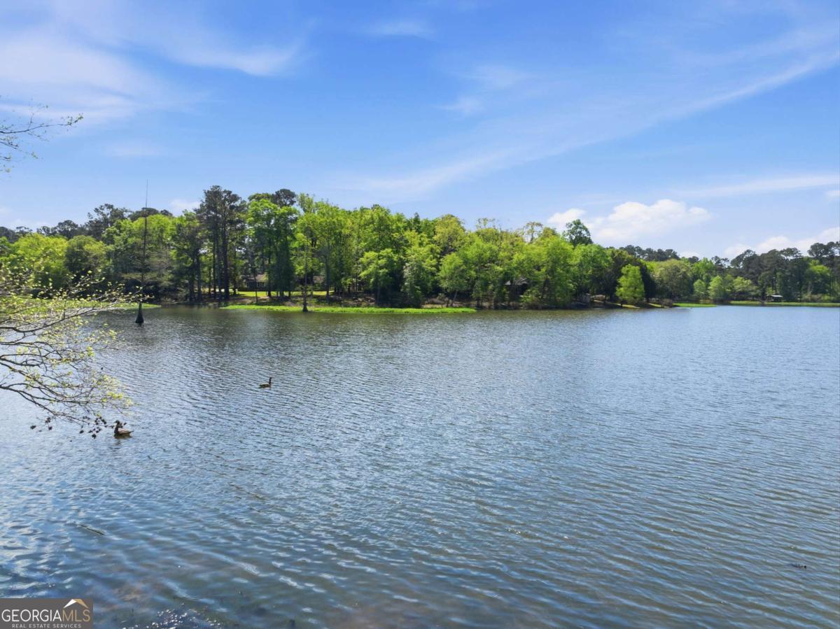 1044 Lewis Mill Lake Road Vienna, GA 31092 - Photo 53 of 67