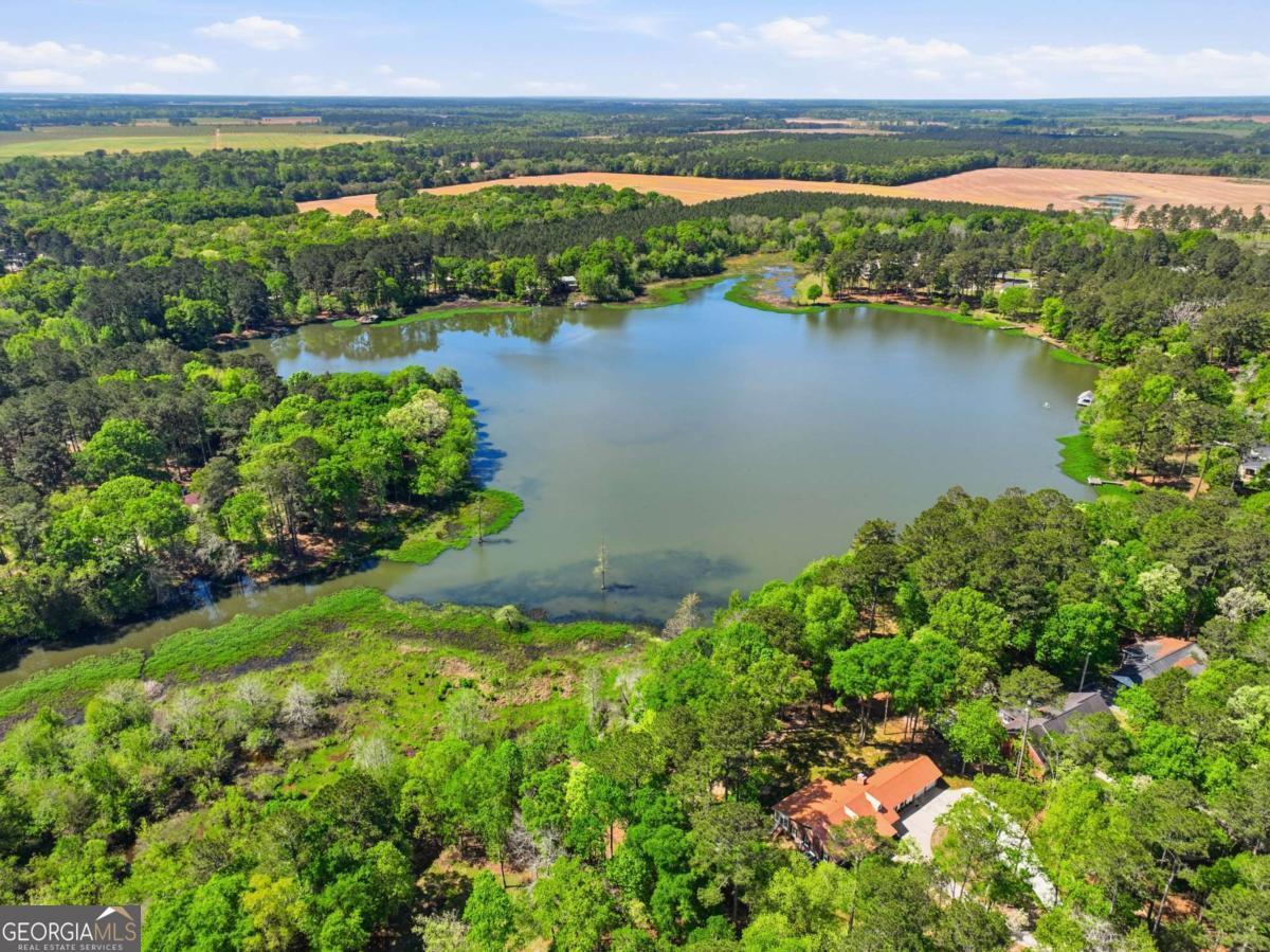 1044 Lewis Mill Lake Road Vienna, GA 31092 - Photo 55 of 67