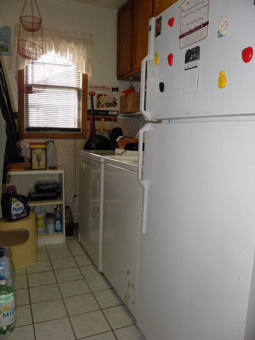 308 Louis Road Joliet, IL 60433 - Photo 3 of 13