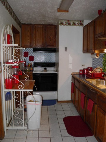 308 Louis Road Joliet, IL 60433 - Photo 5 of 13