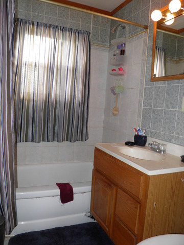 308 Louis Road Joliet, IL 60433 - Photo 10 of 13