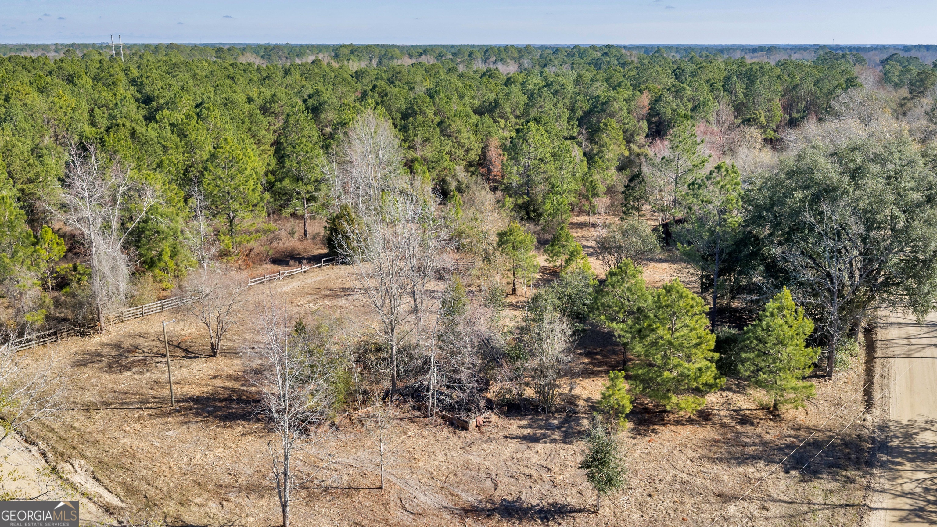 423 Livingston Road Adel, GA 31620 - Photo 1 of 44 a view of a yard with plants and large trees