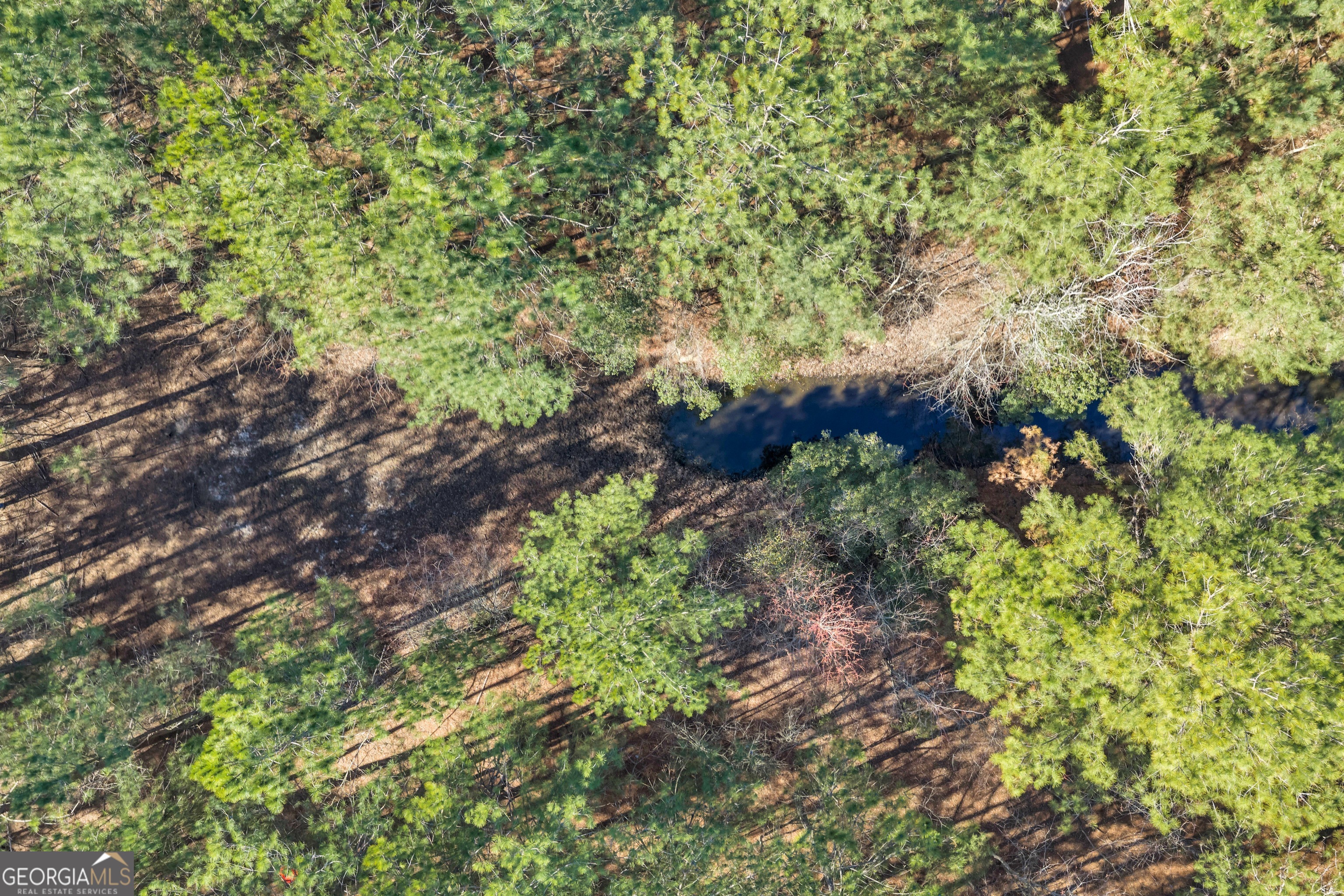 423 Livingston Road Adel, GA 31620 - Photo 11 of 44