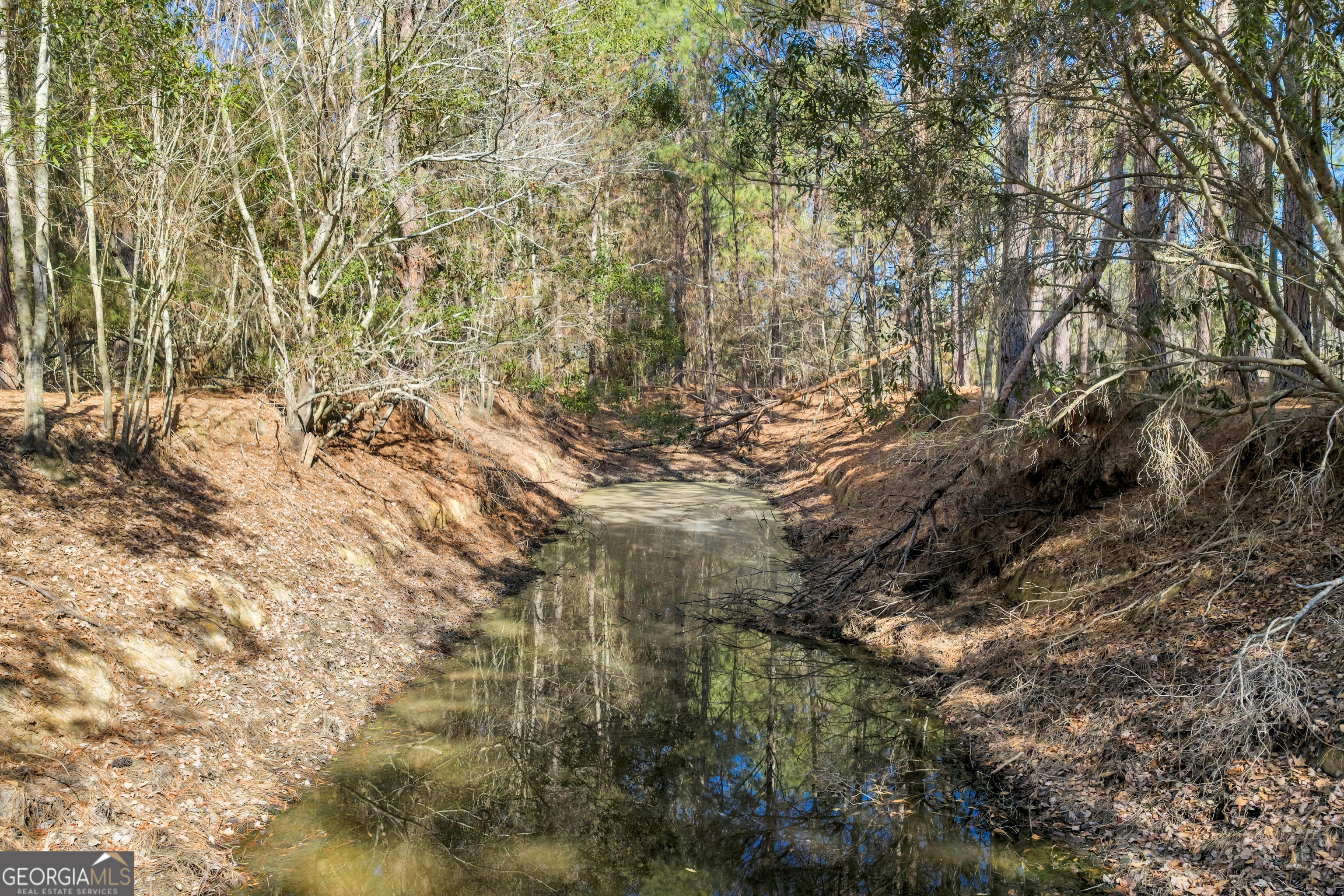 423 Livingston Road Adel, GA 31620 - Photo 12 of 44 a view of a yard with a tree