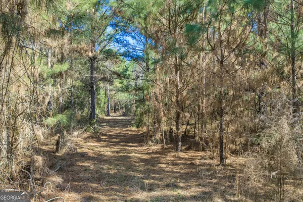 a view of outdoor space and trees