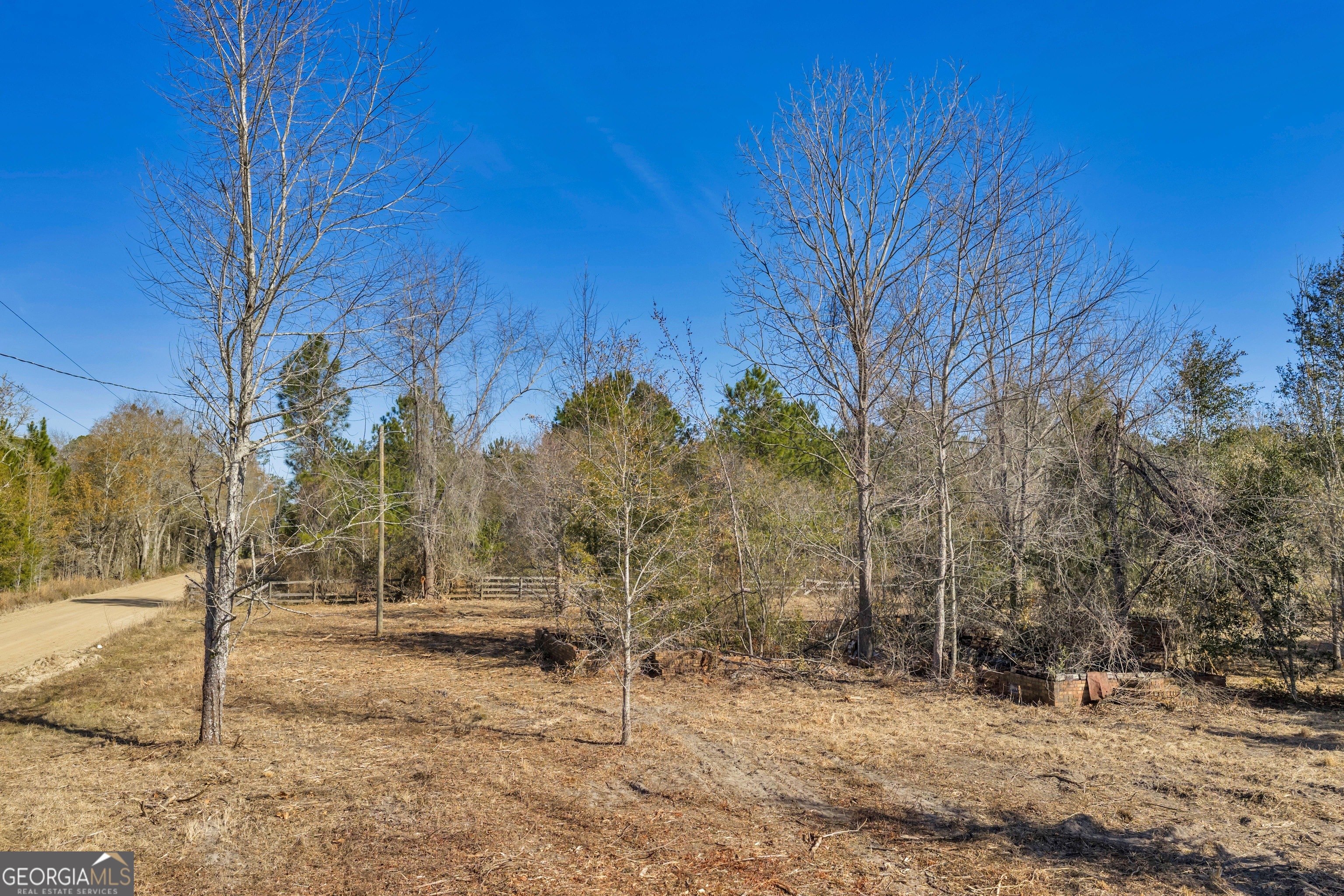 423 Livingston Road Adel, GA 31620 - Photo 16 of 44 a view of a yard with a tree