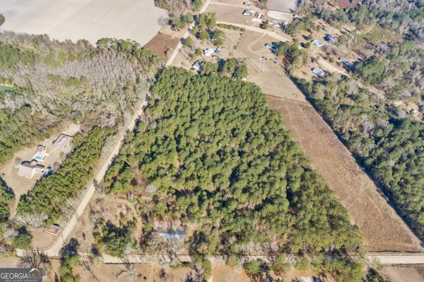 a view of a yard with tree s