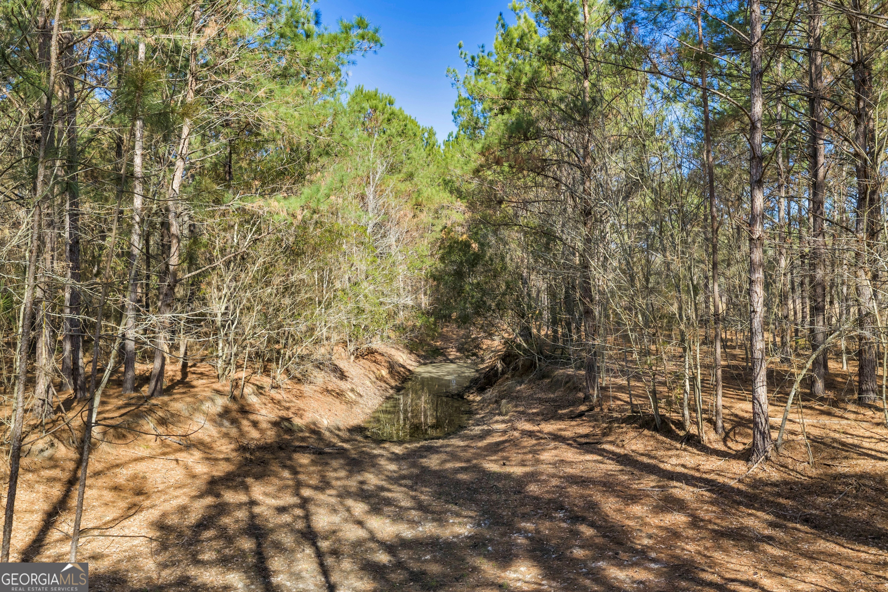423 Livingston Road Adel, GA 31620 - Photo 21 of 44 a view of a pathway of a yard