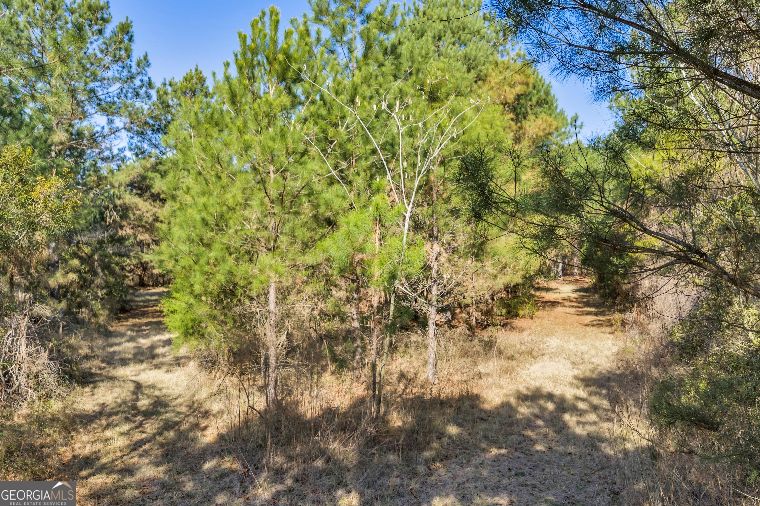 423 Livingston Road Adel, GA 31620 - Photo 23 of 44