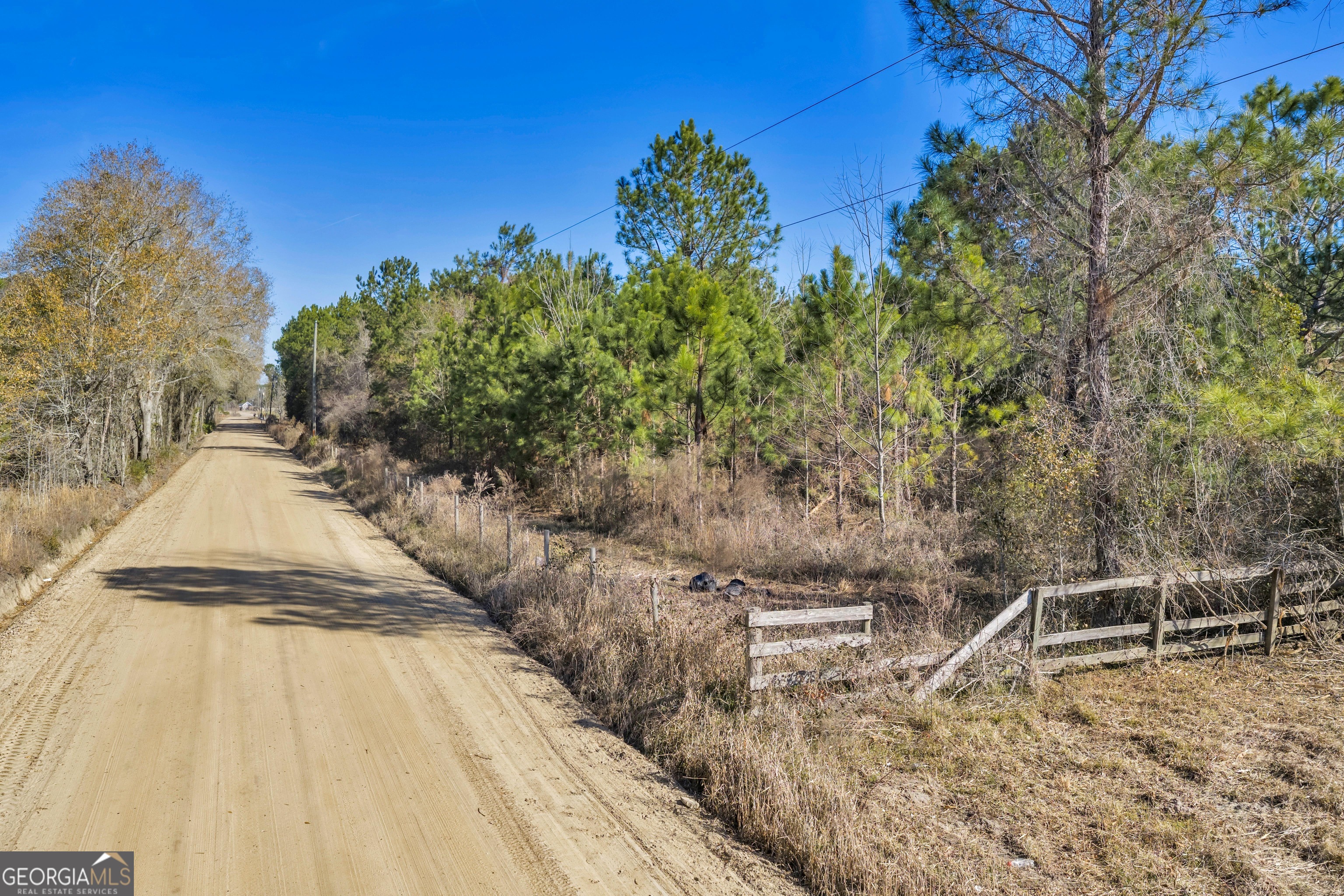 423 Livingston Road Adel, GA 31620 - Photo 25 of 44 a view of outdoor space and yard