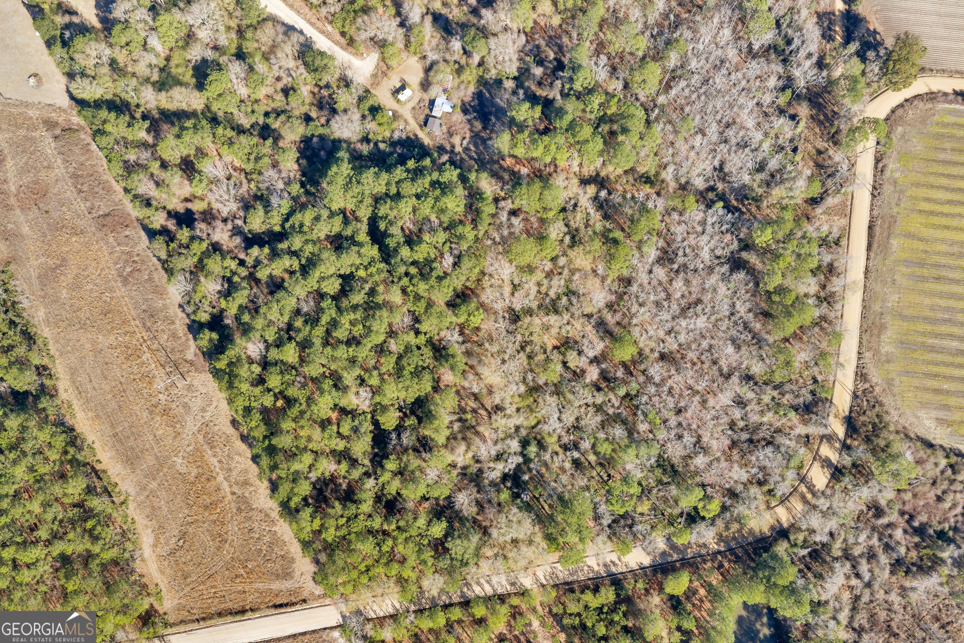423 Livingston Road Adel, GA 31620 - Photo 28 of 44 a picture of a tree