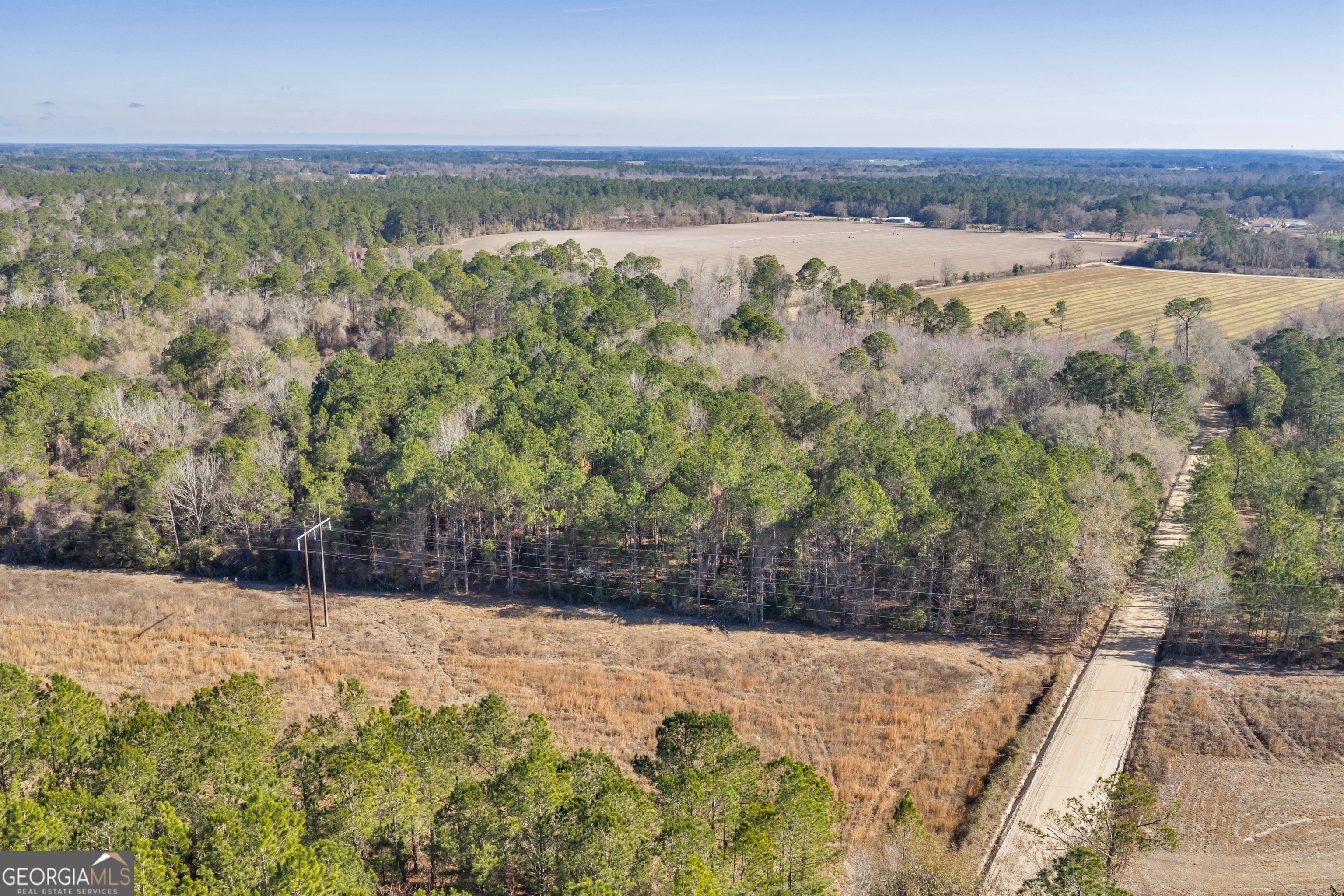 423 Livingston Road Adel, GA 31620 - Photo 29 of 44 a view of a yard with wooden fence