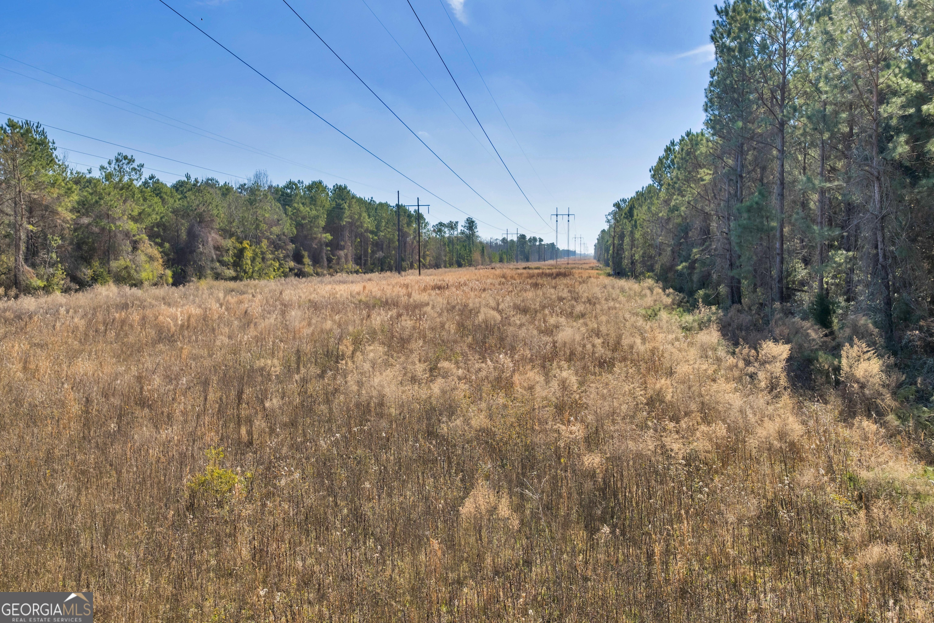 423 Livingston Road Adel, GA 31620 - Photo 3 of 44 a view of outdoor space and yard
