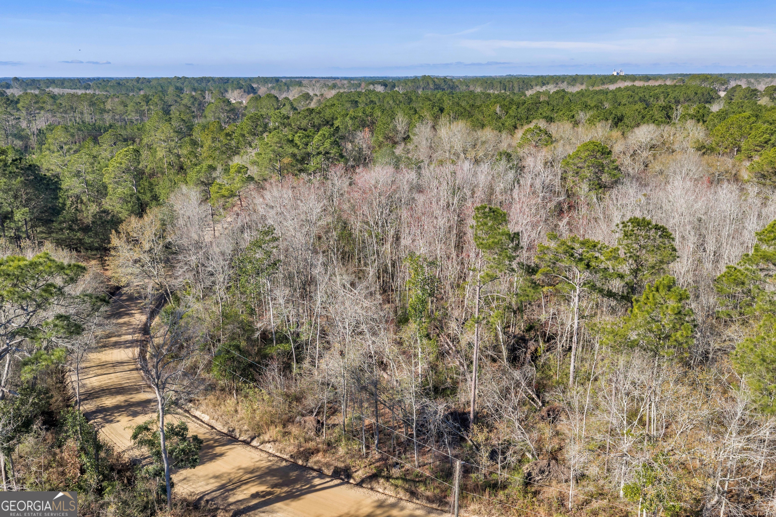 423 Livingston Road Adel, GA 31620 - Photo 32 of 44 a view of a yard