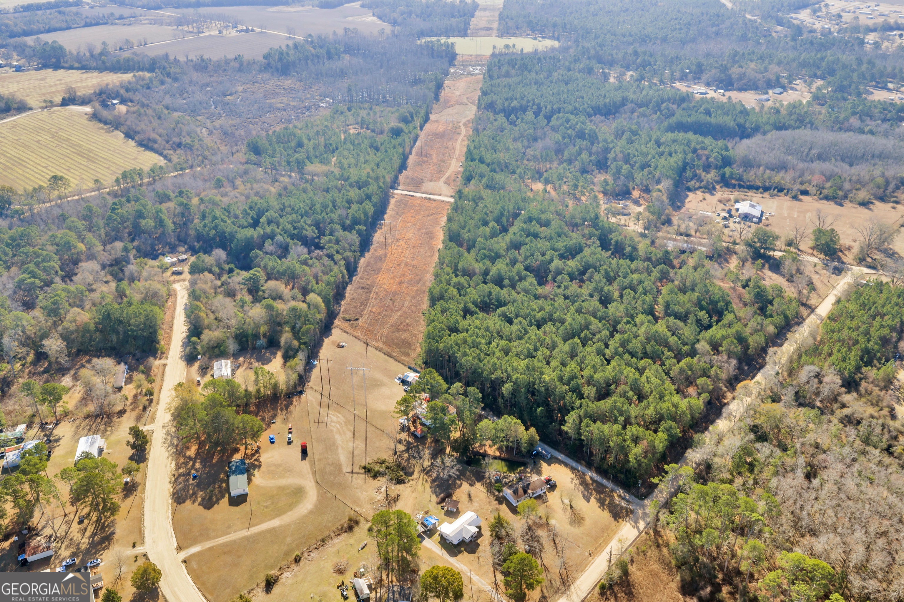 423 Livingston Road Adel, GA 31620 - Photo 35 of 44 a view of a yard