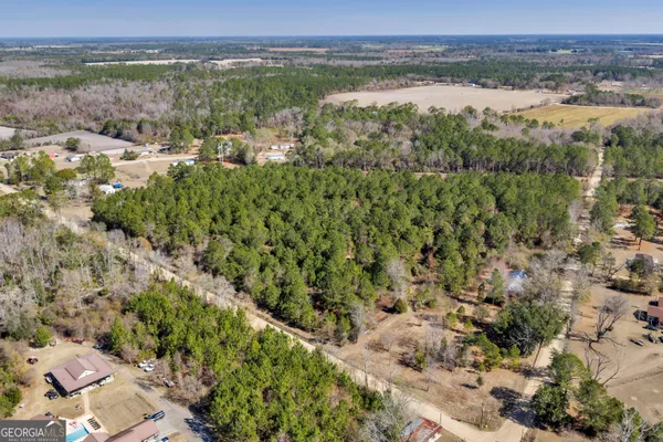 a view of a dry yard with trees in the background