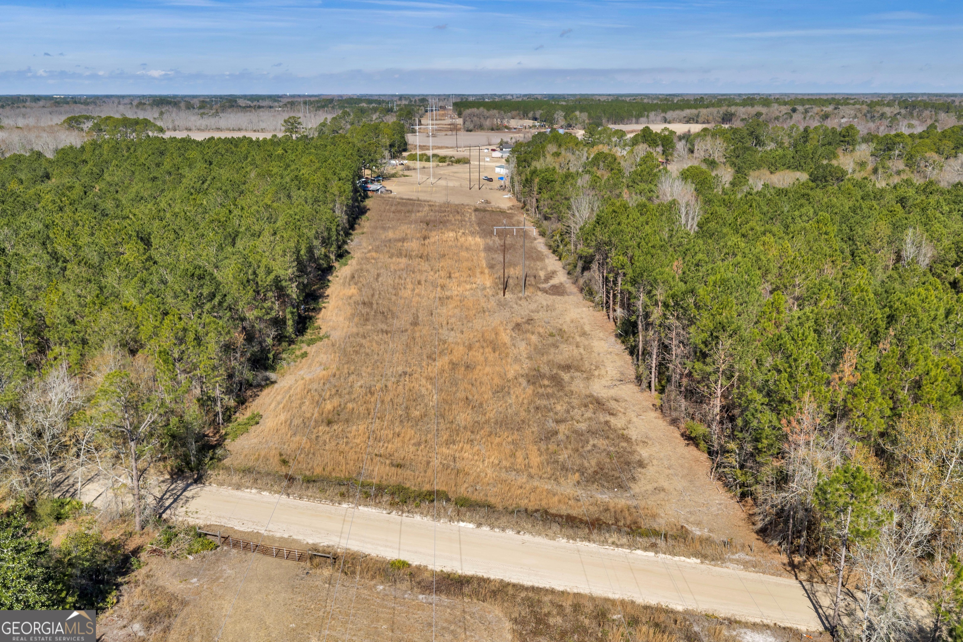 423 Livingston Road Adel, GA 31620 - Photo 40 of 44 a view of a pathway both side of a yard with lake view