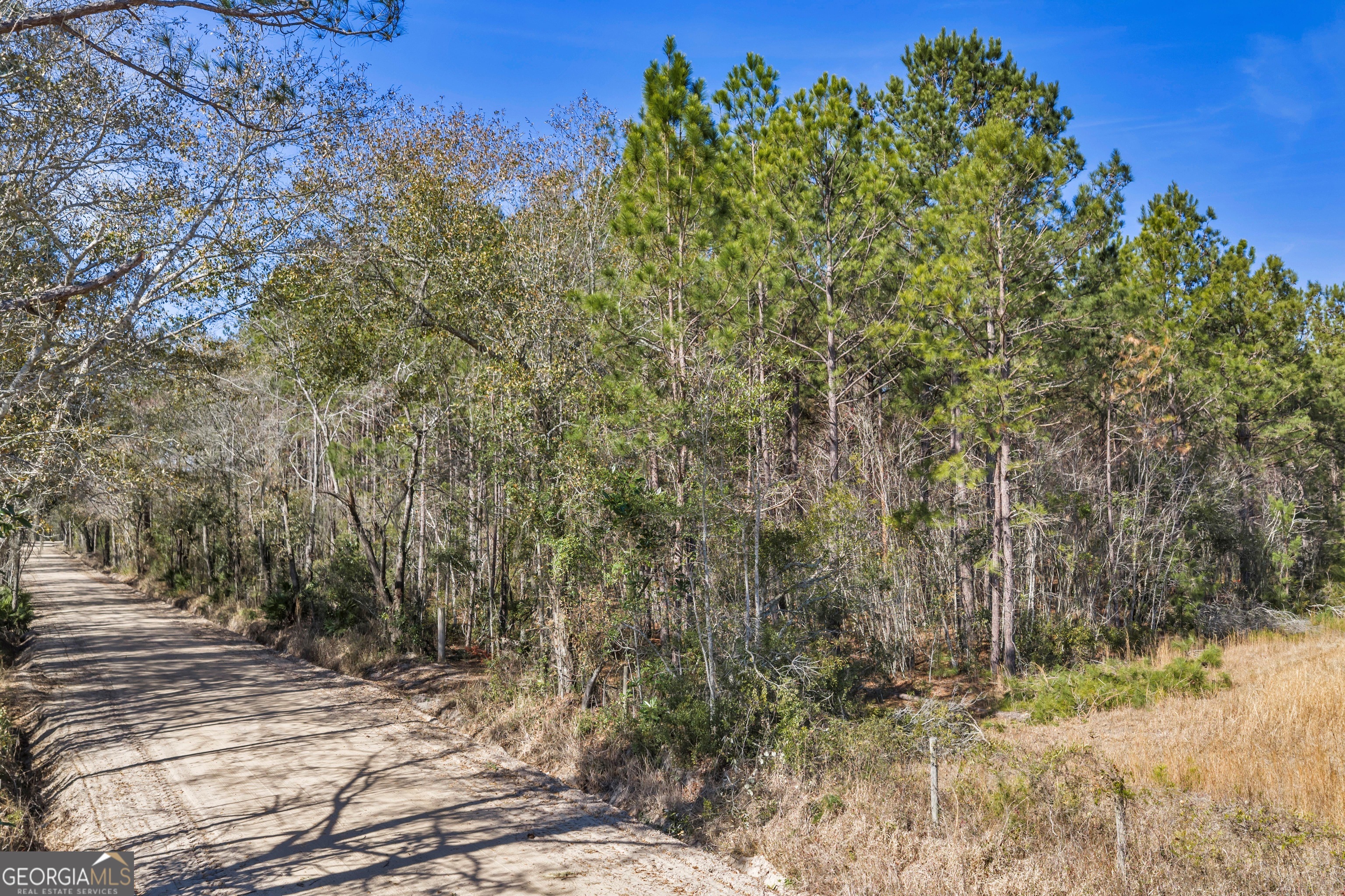 423 Livingston Road Adel, GA 31620 - Photo 41 of 44 a view of a yard with plants and trees