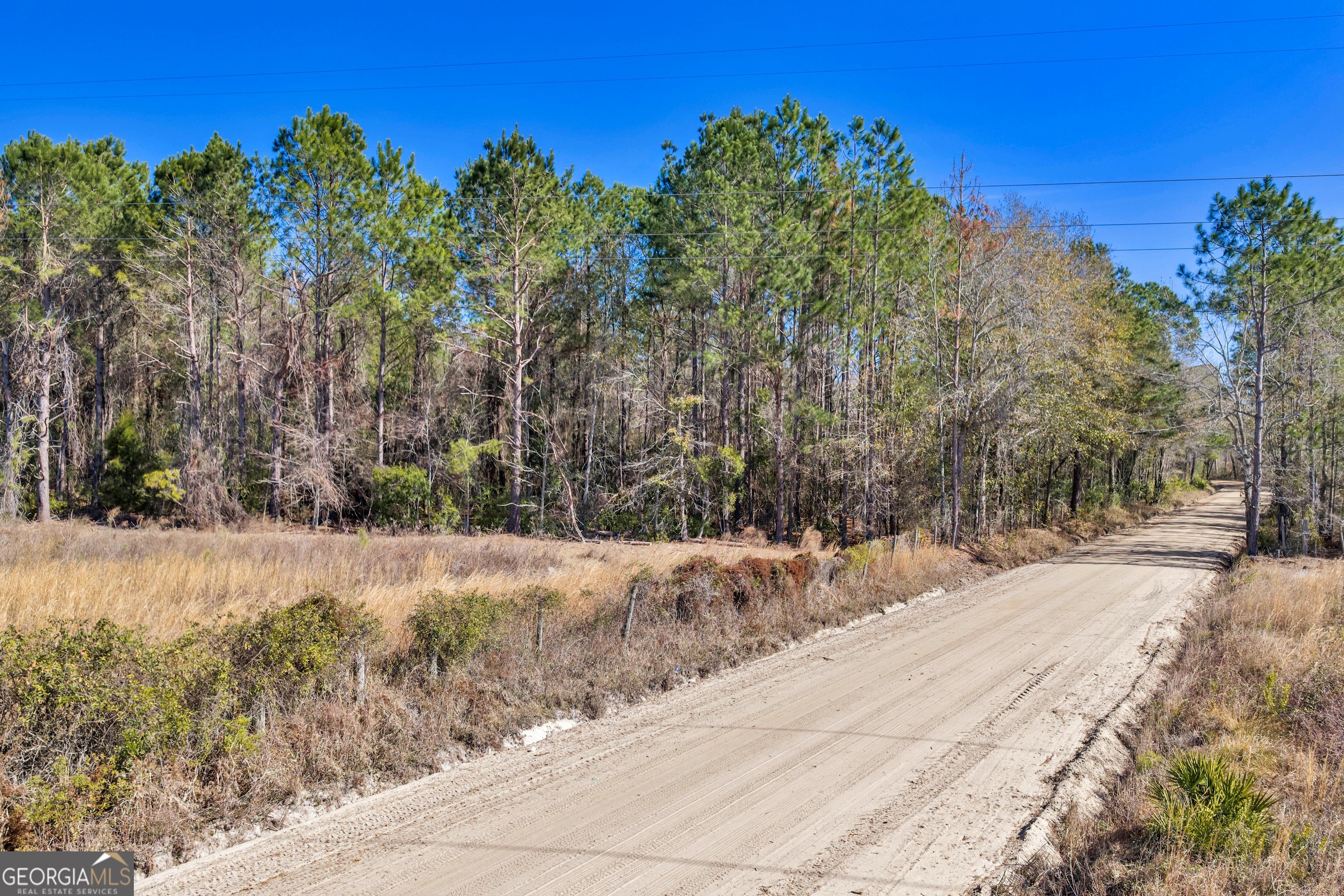 423 Livingston Road Adel, GA 31620 - Photo 42 of 44 a view of a yard with plants and trees