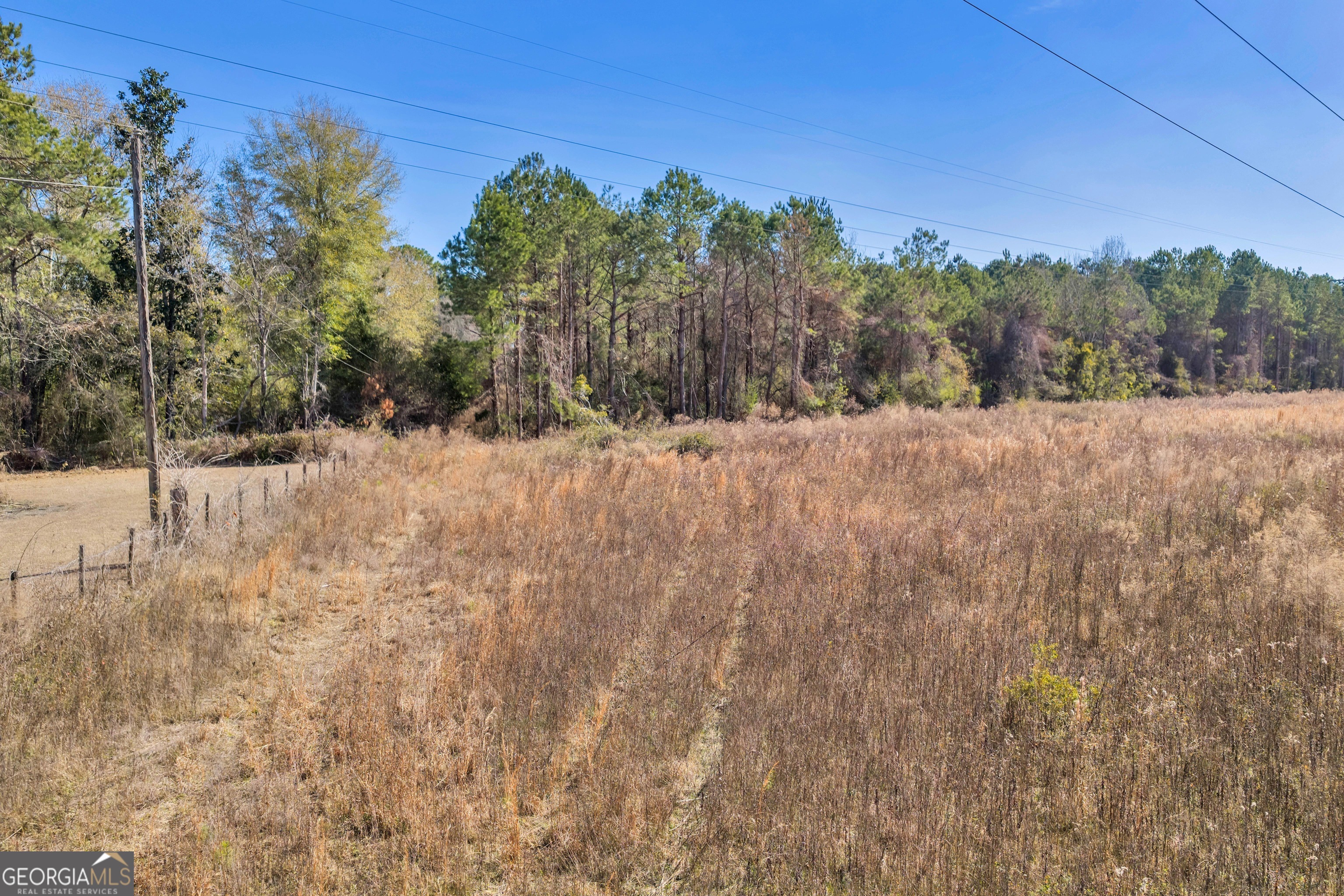 423 Livingston Road Adel, GA 31620 - Photo 43 of 44 a view of a dry yard with trees in the background