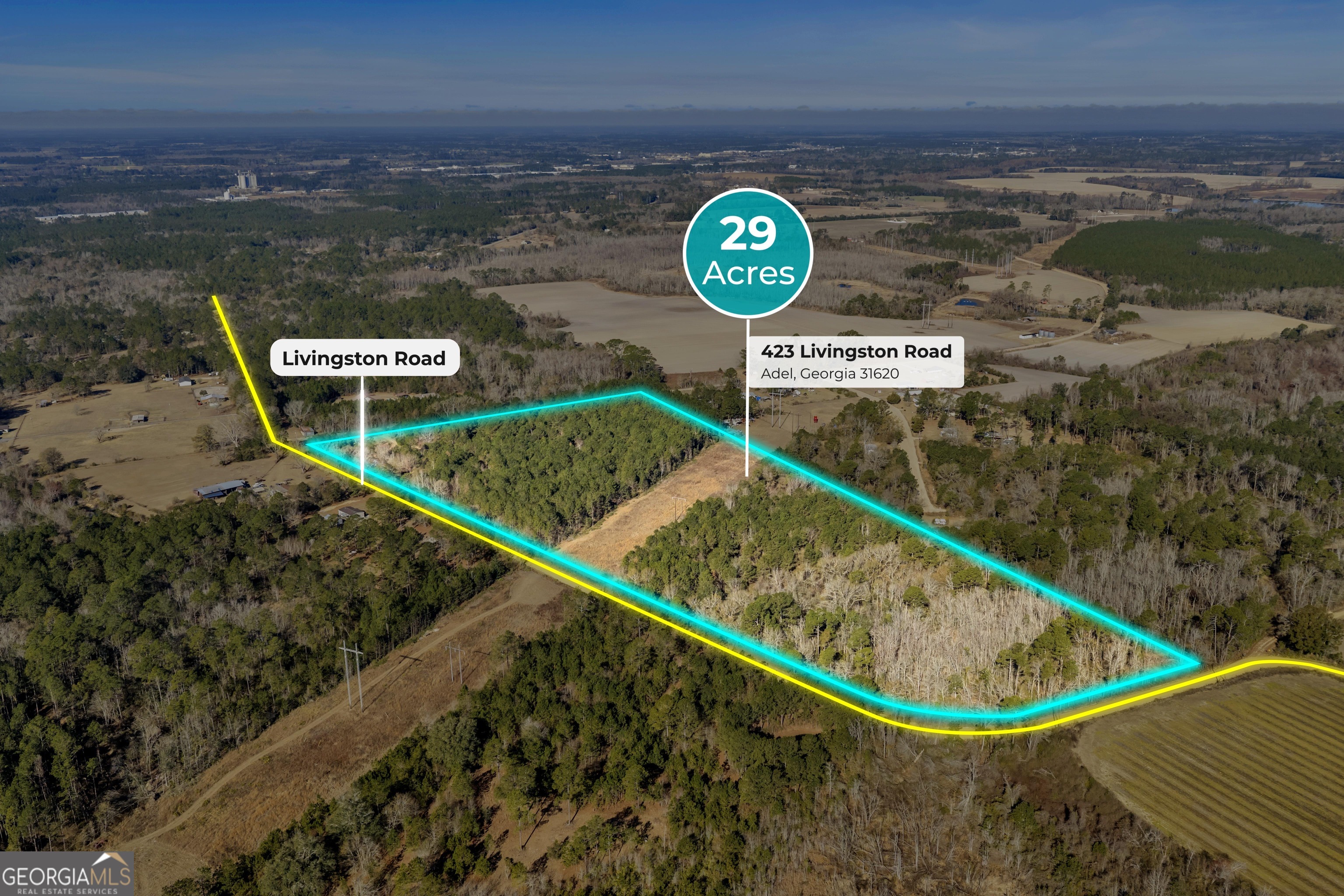 423 Livingston Road Adel, GA 31620 - Photo 44 of 44 a view of a swimming pool with a lake view