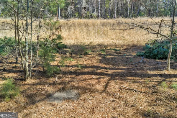 a view of a yard with a tree