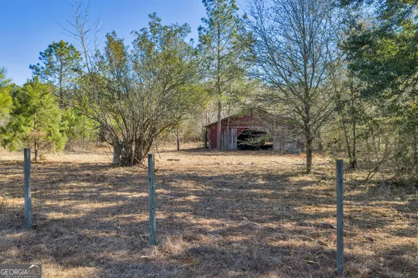 a view of a yard with trees