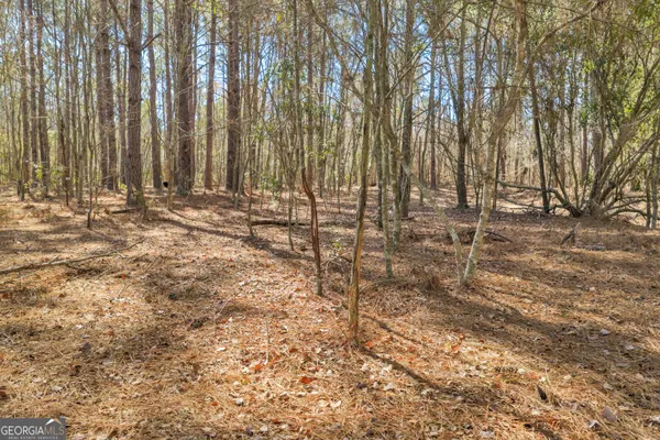 a view of a backyard of the house