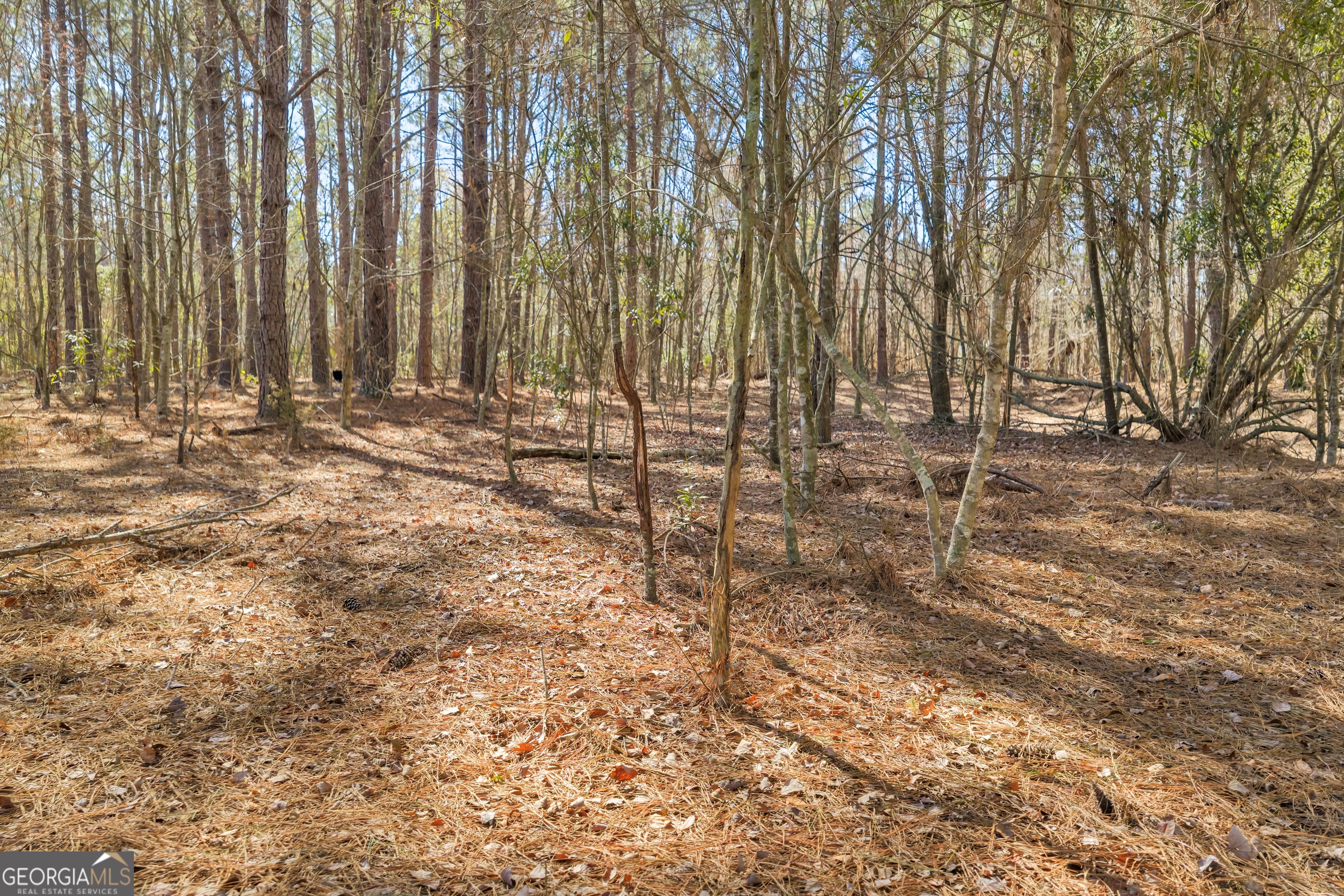 423 Livingston Road Adel, GA 31620 - Photo 10 of 44 a view of a backyard of the house